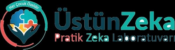 Üstün Zeka - Pratik Zeka Laboratuvarı